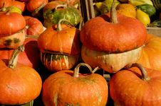 Pumpkins Stock Images Pumpkins Stock Images