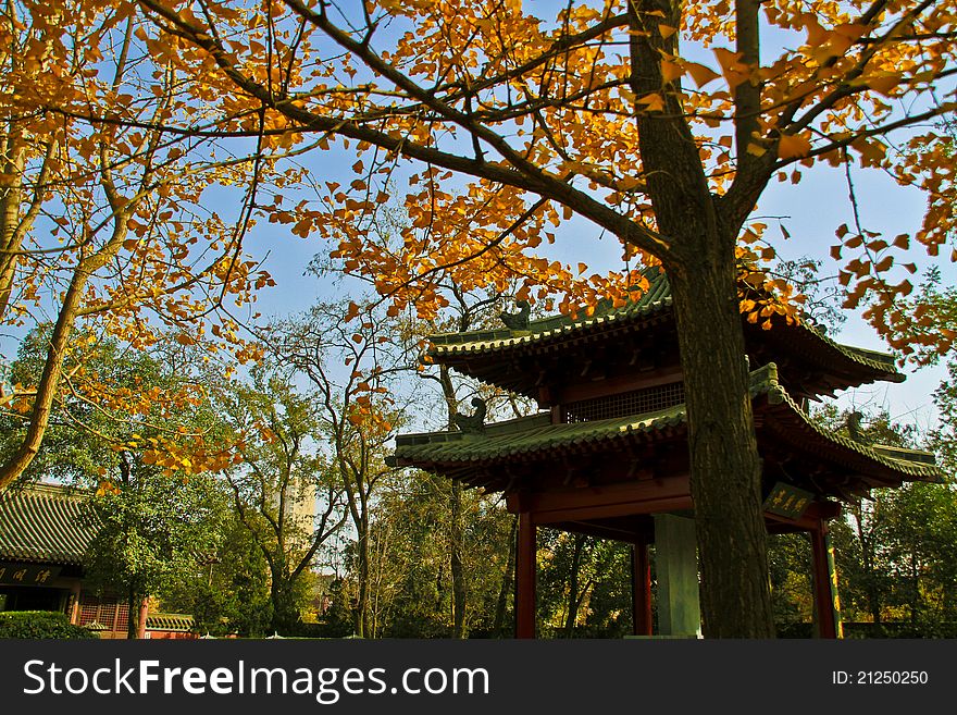 Visit of a beautiful and relaxing Chinese temple during Autumn. Visit of a beautiful and relaxing Chinese temple during Autumn.