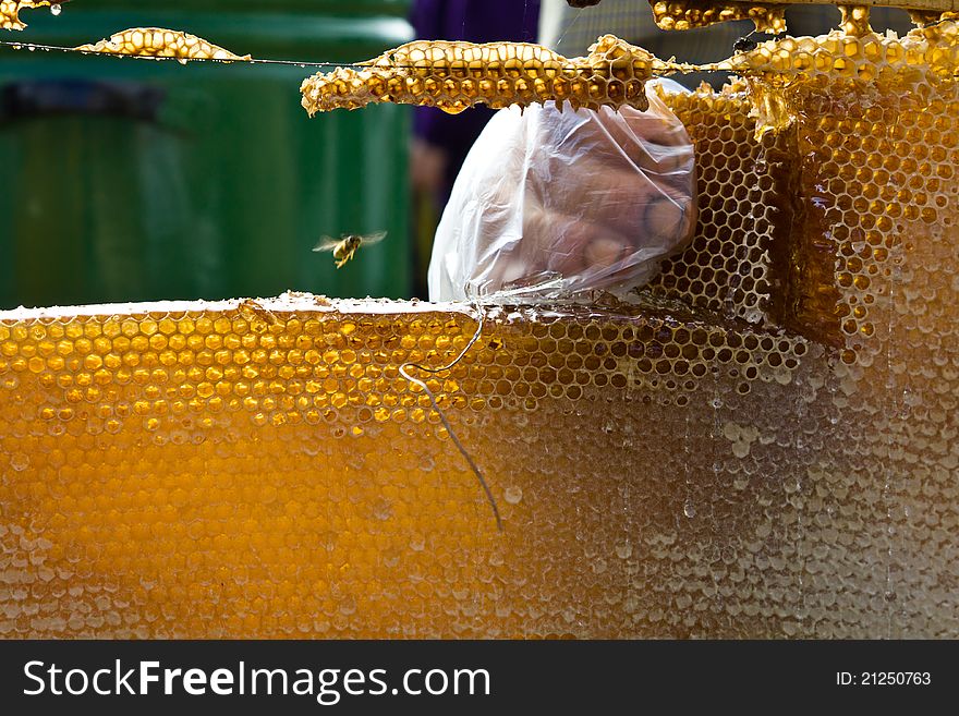 A beekeeper cut a honey comb from a hive.