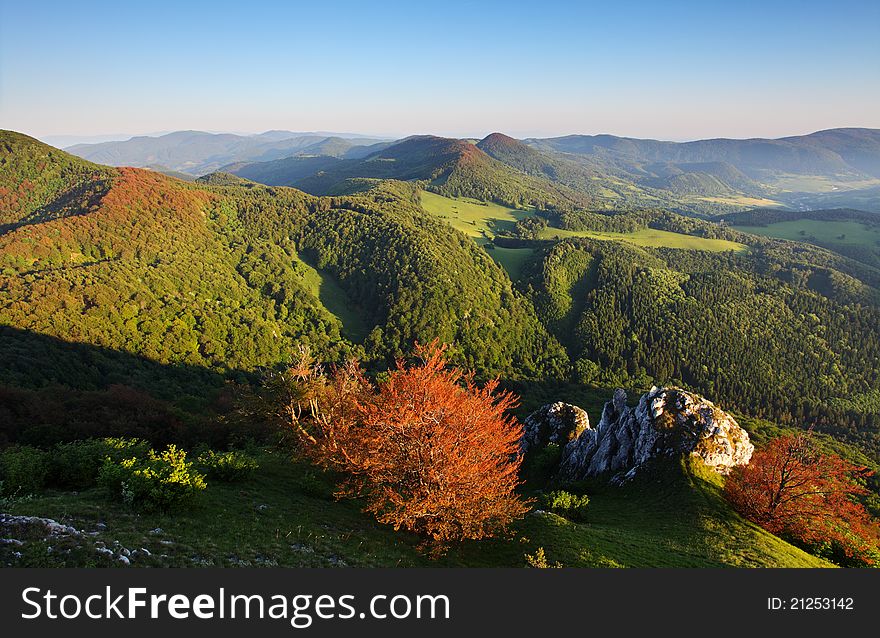 The mountain autumn landscape with colorful forest