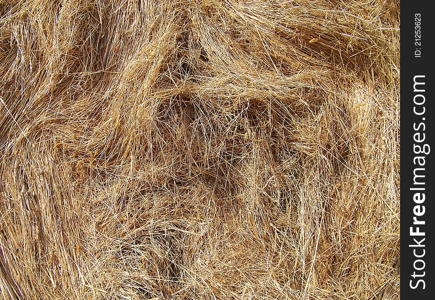 Bale of hay viewed on its center part