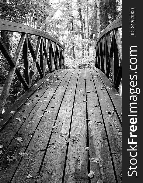 Wooden bridge in the park