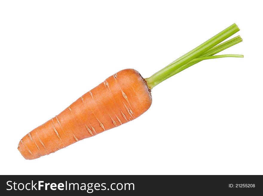 Fresh young carrot isolated over a white background. Fresh young carrot isolated over a white background