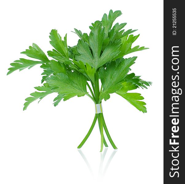 Fresh green leaves of parsley on white background. Fresh green leaves of parsley on white background
