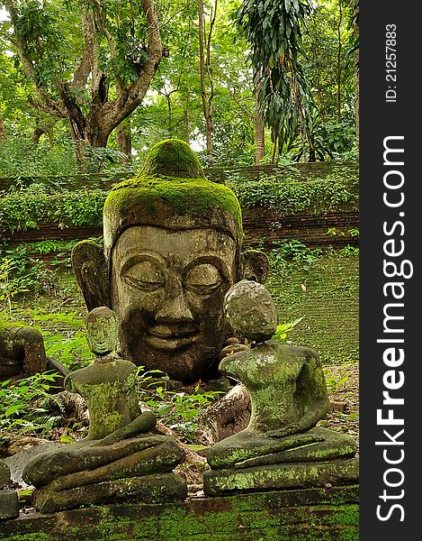 Head of Buddha in Wat U-Mong, Chiangmai, Thailand