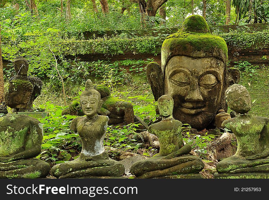 Head of Buddha in Wat U-Mong, Chiangmai, Thailand