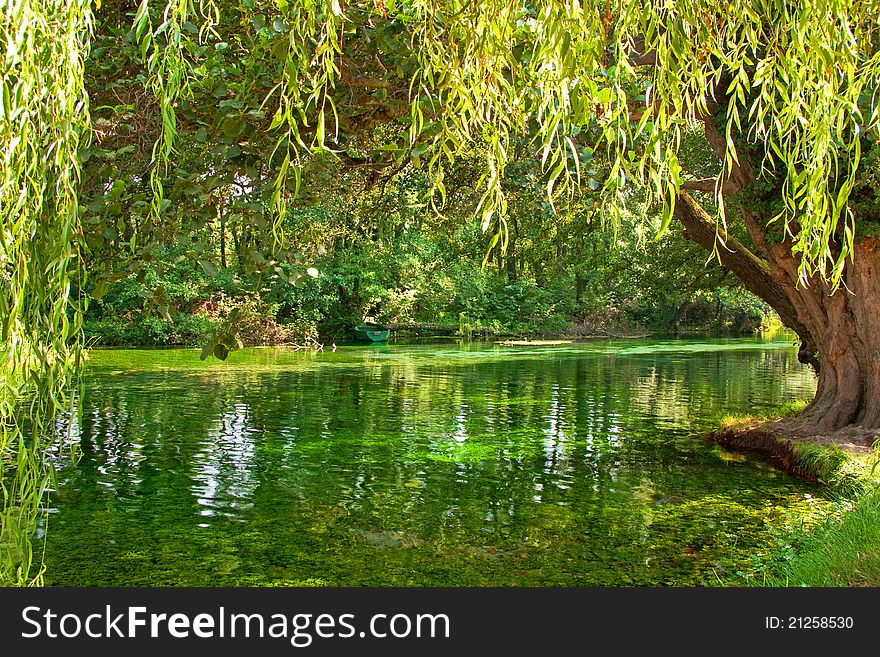 Beautiful lake and green trees