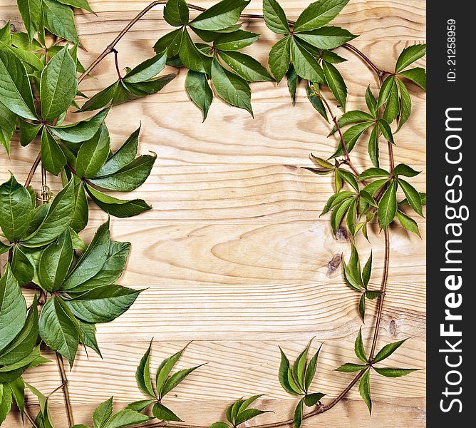 Wild Wine Twigs On Wooden Background