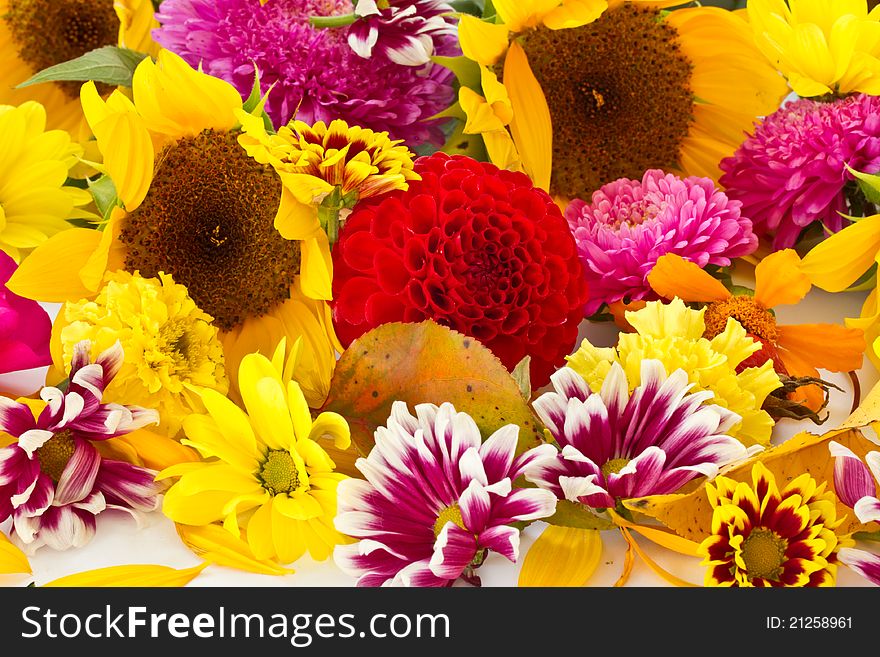 Background of many different colorful autumn flowers. Background of many different colorful autumn flowers