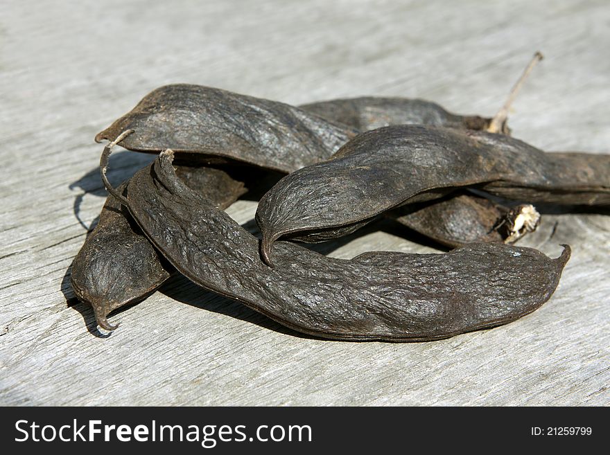Beans in the pod on wooden background