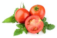 Ripe Red Tomato Stock Photo