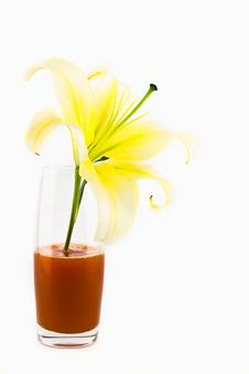 Lily Flower Isolated On White Royalty Free Stock Photography Lily Flower Isolated On White Royalty Free Stock Photography