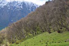 Caucasus Mountains In Georgia Stock Photo Caucasus Mountains In Georgia Stock Photo