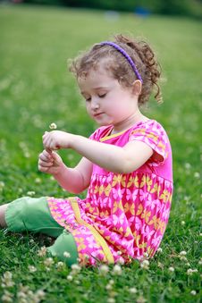 Little Girl Is Picking Flowers On Field Royalty Free Stock Images Little Girl Is Picking Flowers On Field Royalty Free Stock Images