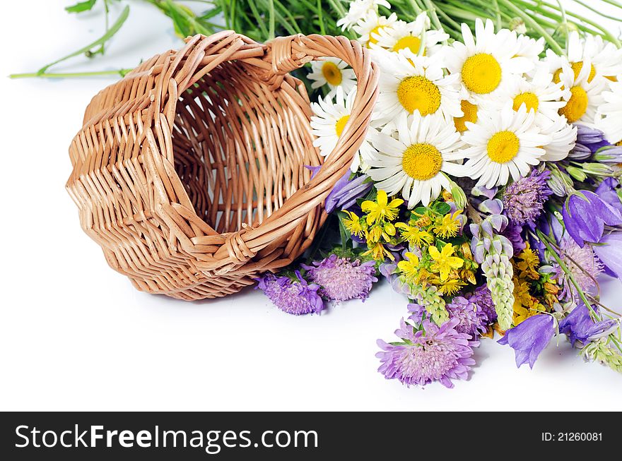 Beautiful flowers in basket on white. Beautiful flowers in basket on white