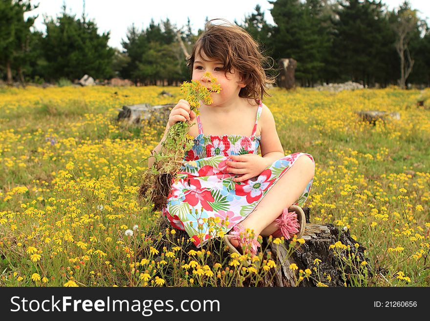 Young girl smelling flowers in a meadow