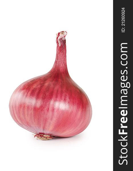 The fresh onions isolated on white background