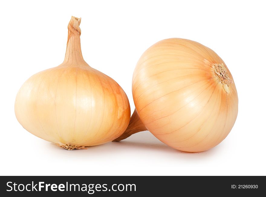 The fresh onions on white background