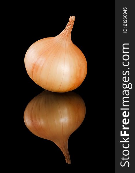 The fresh onions on a black background