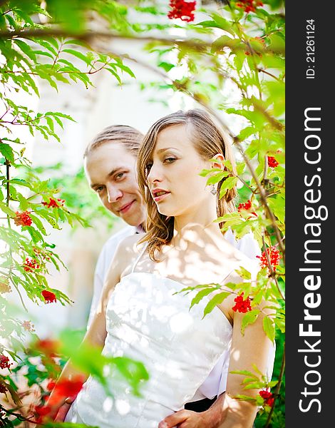 Portrait of a bride and groom standing near the tree with red berries