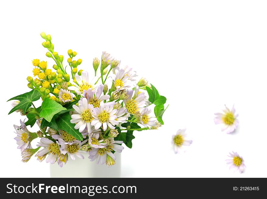 I took marigold and ivy in a white background.