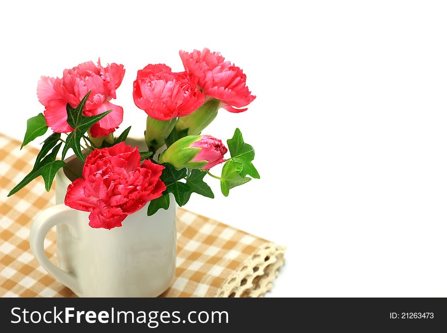 I took a carnation and ivy in a white background.