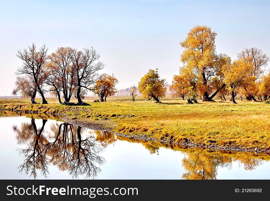 Bank of the river in the fall. Day. Partly cloudy.