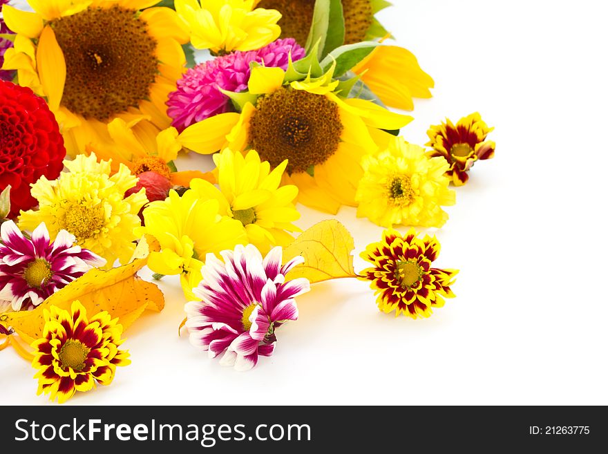 Many beautiful fall colors on a white background. Many beautiful fall colors on a white background