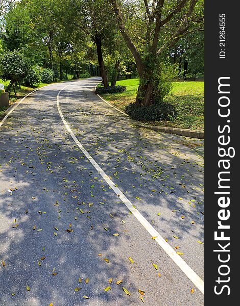 Garden, shaded street in a fit. Garden, shaded street in a fit.