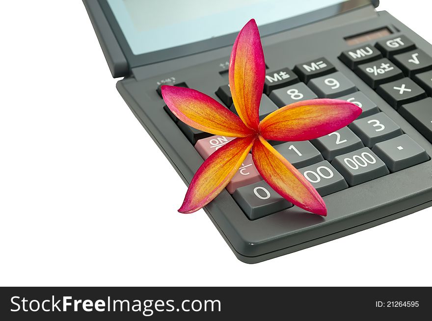 Colorful Tropical Frangipani on the calculator