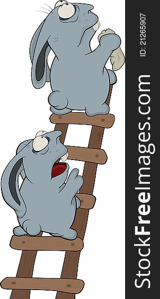 Rabbits on a ladder