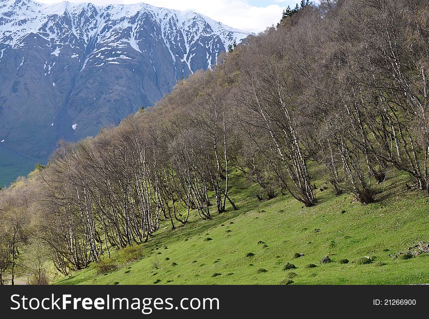 Caucasus Mountains In Georgia
