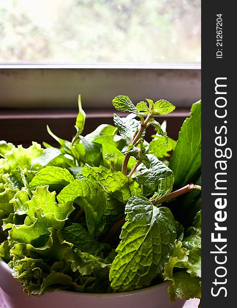 Still-lift of green vegetable in bowl