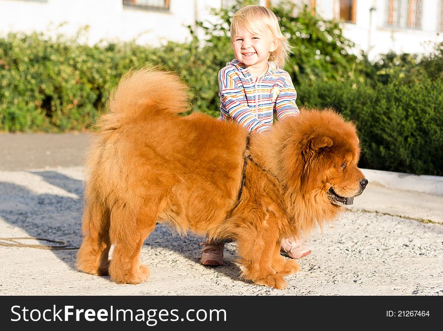 Beautiful girl with the dog