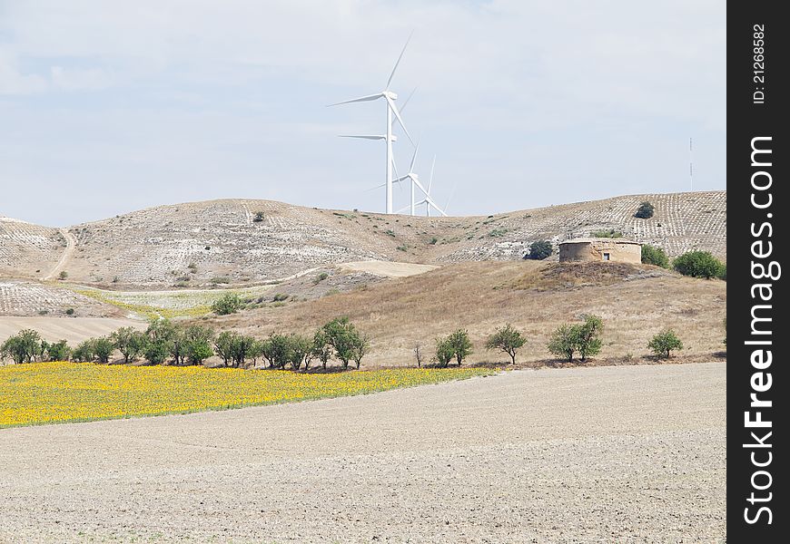 Mill And Field