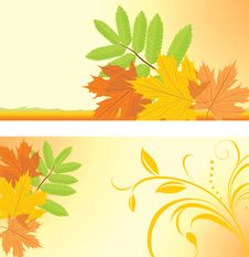 Autumn Banners With Maple And Ash Leaves Stock Photos Autumn Banners With Maple And Ash Leaves Stock Photos