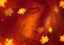 Abstract Autumn Design Stock Image