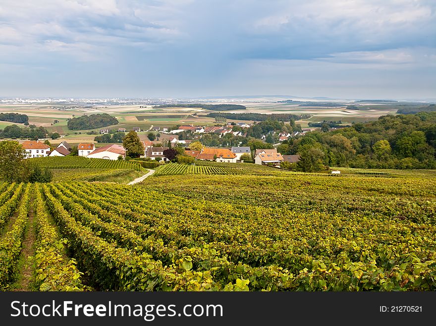 Landscape with vineyards and mid-country village