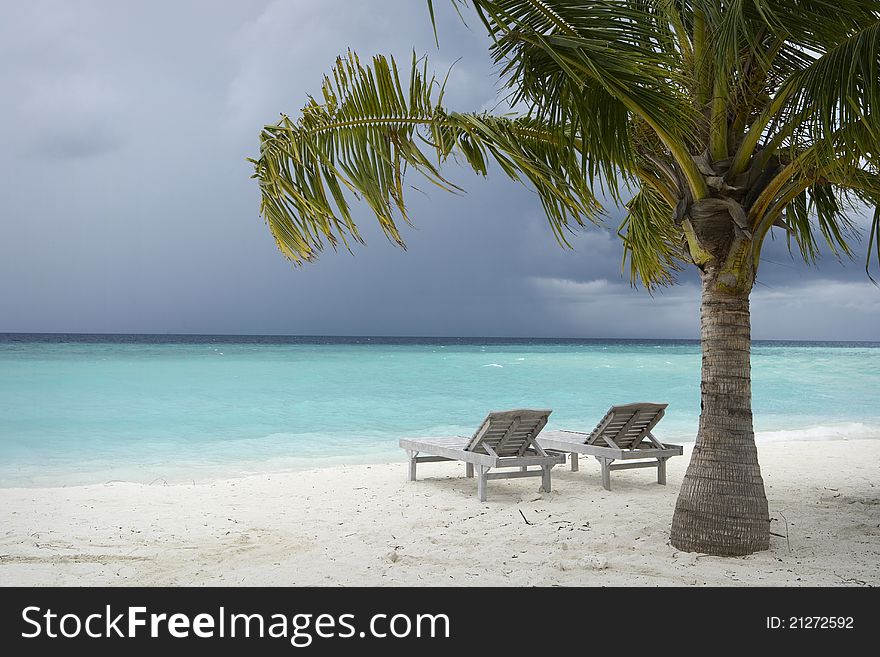 Maldives Island Monsoon. Two lounges under Palm Tree