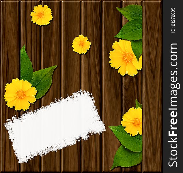 Wooden background with green leaves, daisies and place for text