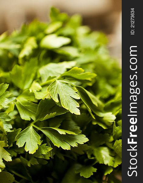 Parsley with short focal depth