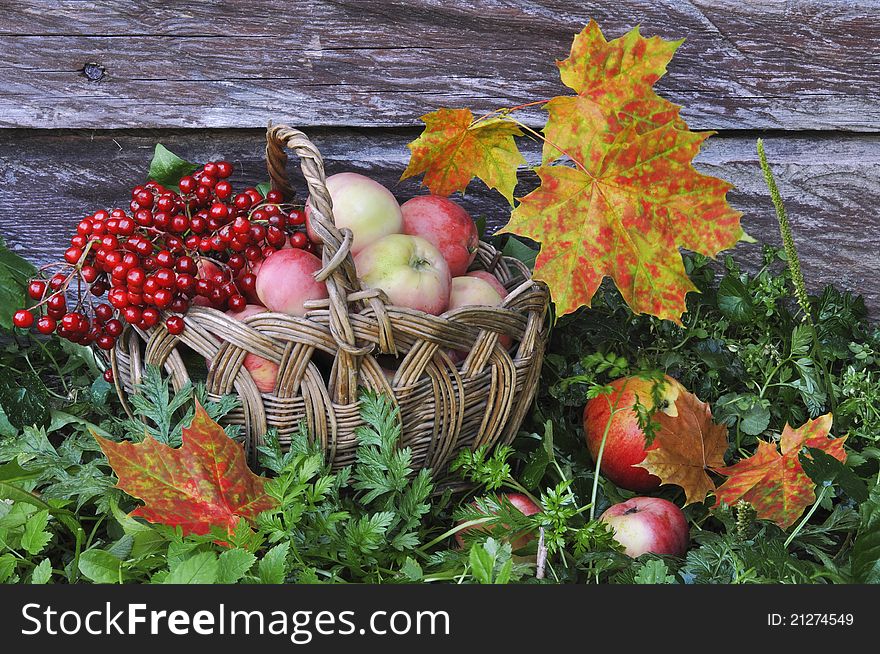 Apples in a basket and autumn yellow leaves against a wooden wall. Apples in a basket and autumn yellow leaves against a wooden wall