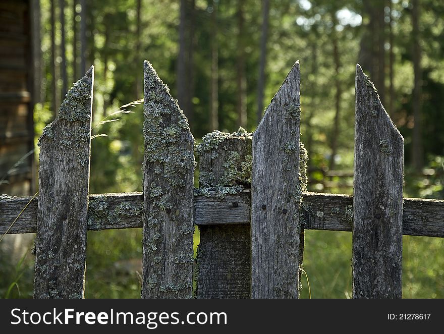 Old wooden fence with forest background