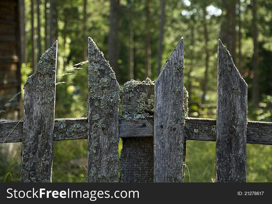 Wooden Fence