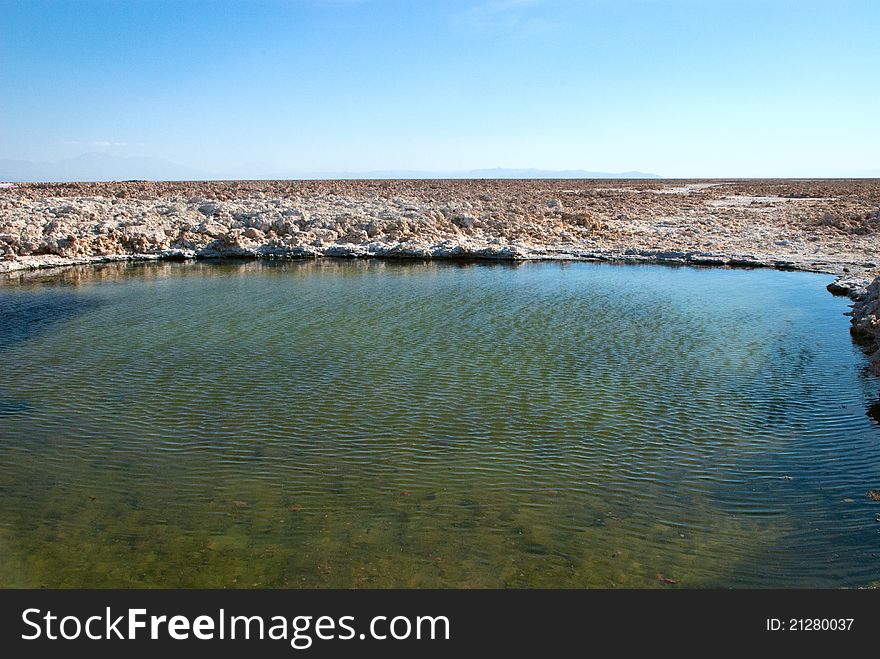 Laguna Chaxa in Salar de Atacama. Laguna Chaxa in Salar de Atacama