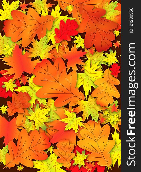 Autumn maple and oak leaves as background. Autumn maple and oak leaves as background.