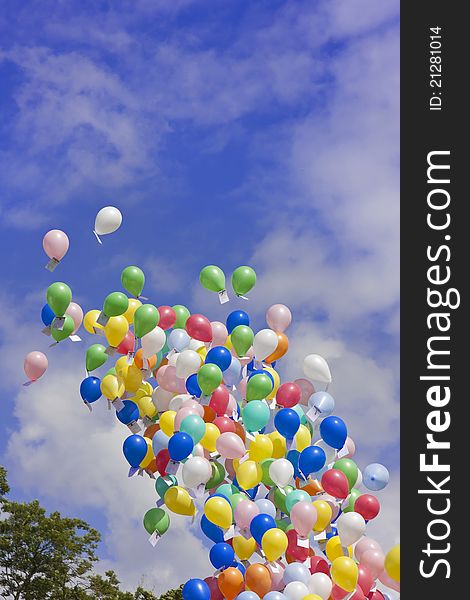 Many colourful balloons being launched into a blue sky. Many colourful balloons being launched into a blue sky.