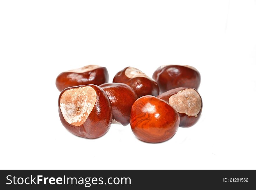Set of autumn chestnuts isolated on white