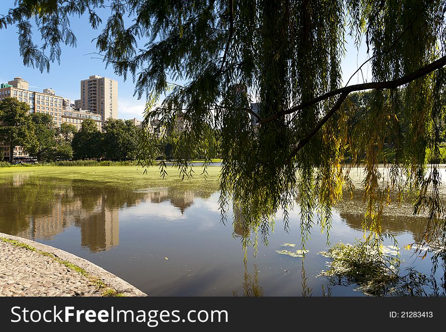 Harlem Meer on a Summer Day in NYC.