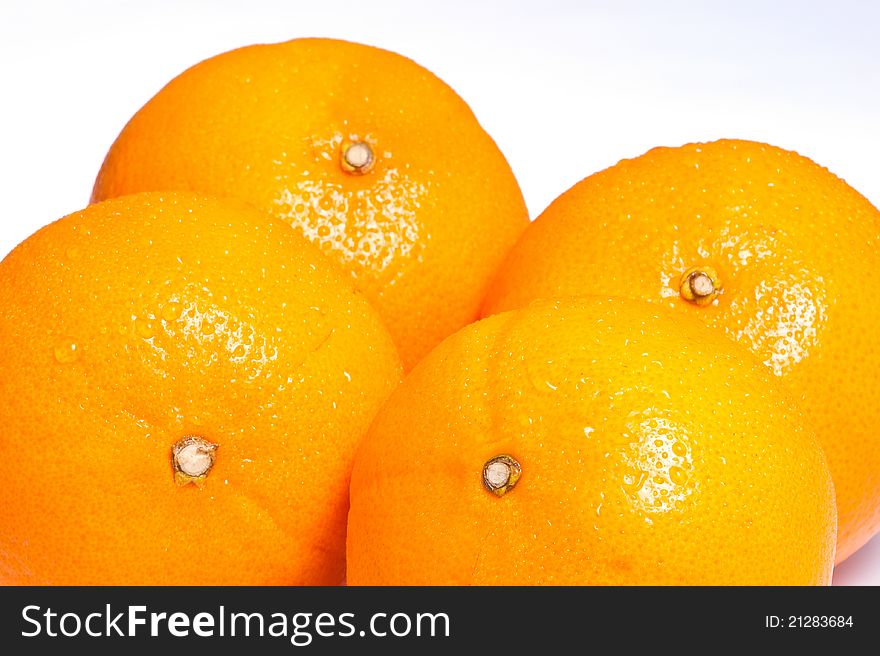 Image of oranges on white background. Image of oranges on white background
